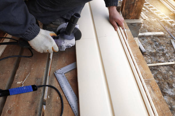 Best Steel Siding Installation  in Smyrna, GA